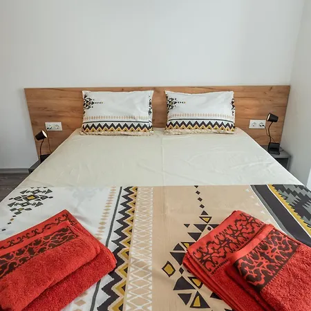 Cardinal * 索菲亞