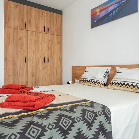 Cardinal * 索菲亞